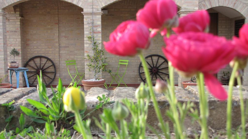Bed And Breakfast Aratro & Rosmarino Civitanova Marche Chambre photo