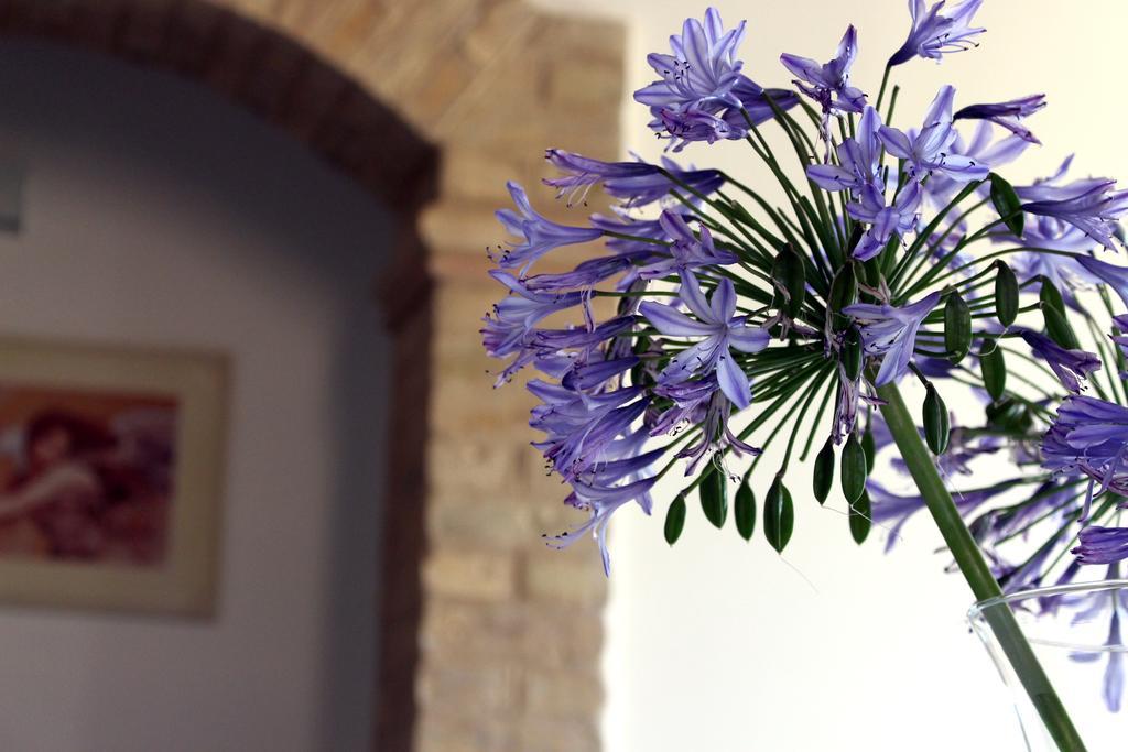 Bed And Breakfast Aratro & Rosmarino Civitanova Marche Extérieur photo